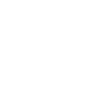 The Lost Sock logo